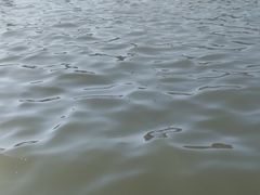 -碧海金沙