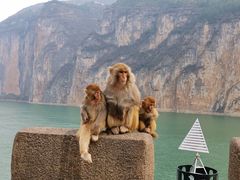 -白帝城·瞿塘峡景区