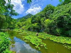 -武汉姚家山旅游景区