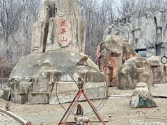-哈尔滨北方森林动物园