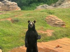 -海南热带野生动植物园