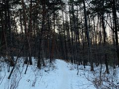 -帽儿山国家森林公园