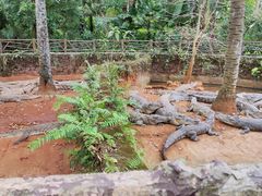 -海南热带野生动植物园