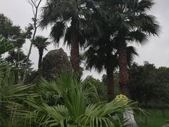 -洛龙公园
