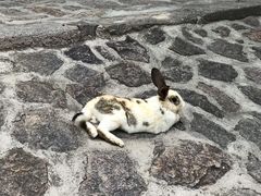 -云峰山自然风景区