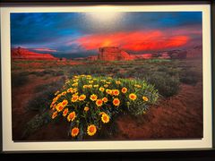 -罗红摄影艺术馆