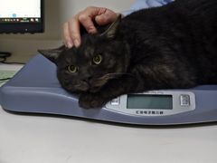 -全心全意连锁动物医院·特色中医诊疗(会城门分院)