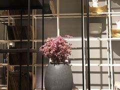 -觅见咖啡馆(艺展中心店)