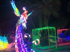 -东南花都花博园