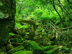 -西安祥峪森林公园