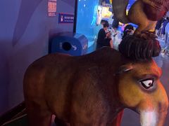 -烟台海昌鲸鲨海洋公园