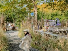 -HERRE·FARM 赫尔露营农场·团建聚会包场