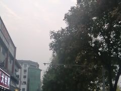 -一记洛阳菜·糖醋小排·水席(十字街店)