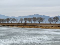 -野鸭湖国家湿地公园