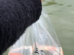 -白塘生态植物园