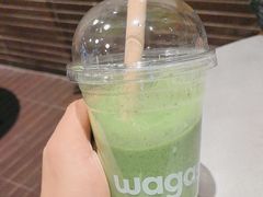 大力水手-Wagas沃歌斯(汇智店)