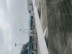-张家界荷花国际机场