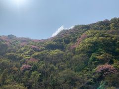 -秦岭风景区