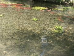 -水磨沟公园