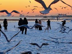 -老虎石海上公园