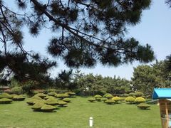 -日照灯塔风景区