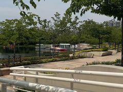 -新江湾城公园