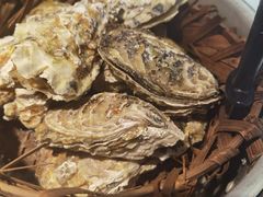 -臻炙大舍烤串(天龙家园店)