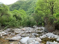 -黑河国家森林公园