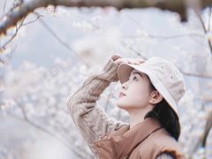 -樱桃山旅游景区