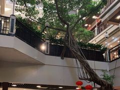 -广州酒家(文昌总店)