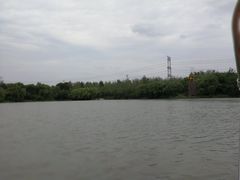 -昆山城市生态森林公园