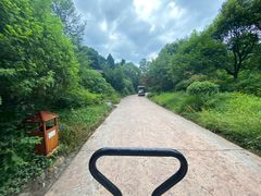 -杭州开元森泊度假乐园