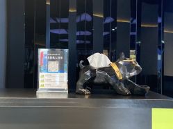 -不迫先生专业男士剪发