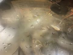 -苏大嘴海鲜牧场(奥林匹克店)