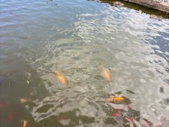 -月牙潭公园
