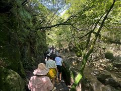 -神牛大峡谷