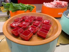 -龍歌自助小火锅(黄岛吾悦店)