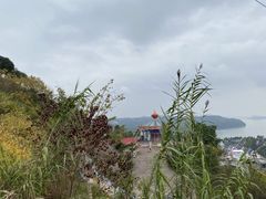 -美心红酒小镇游乐园