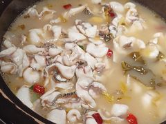 -周渝食惦酸菜鱼(青浦店)