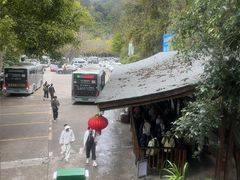 -野象谷景区