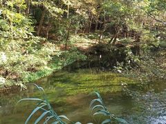 -阿哈湖国家湿地公园