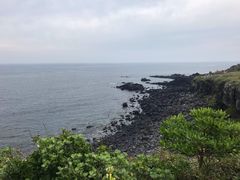 -涉地可支