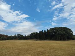 -福建鲤鱼洲酒店