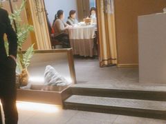 -宏宴·新京菜(望京店)