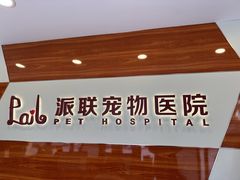 -派联宠物医院·24h·CT·异宠