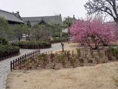 -河间府署