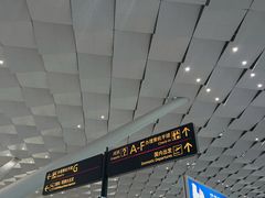 -郑州新郑国际机场-T2航站楼