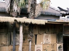 -田德能咖啡博物馆