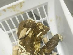 -联合动物医院(光谷诊疗中心)
