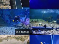 -秦皇岛乐岛海洋王国